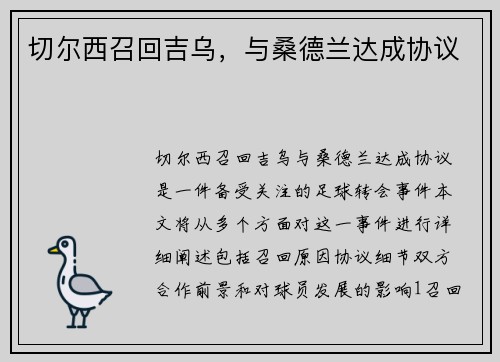 切尔西召回吉乌，与桑德兰达成协议