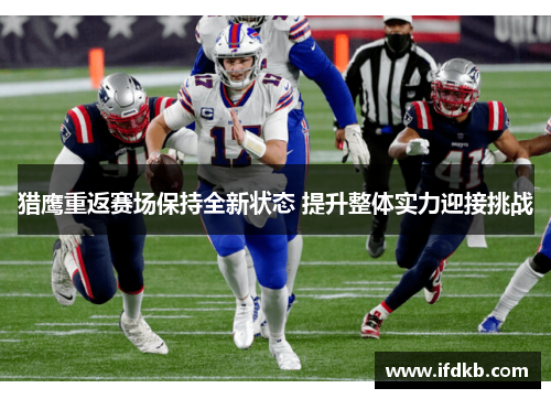 猎鹰重返赛场保持全新状态 提升整体实力迎接挑战